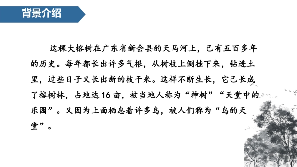 《鸟的天堂》PPT免费课件[部编版五年级语文上册]_第2页