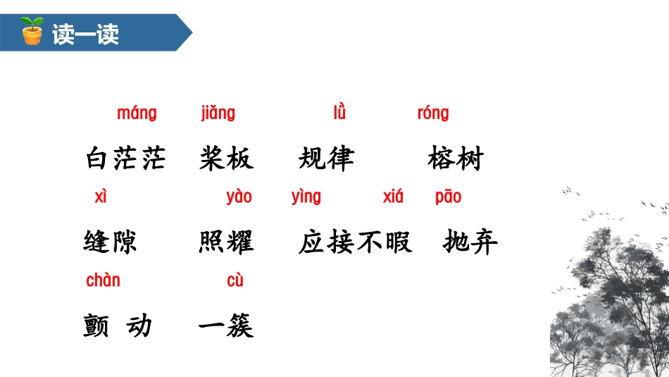 《鸟的天堂》PPT免费课件[部编版五年级语文上册]_第3页
