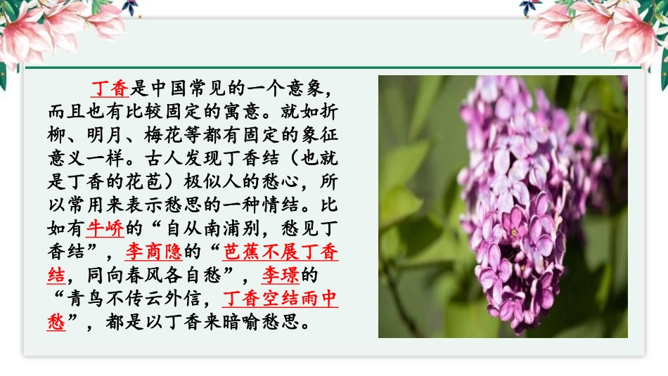 《丁香结》PPT教学课件[部编版六年级语文上册]_第3页