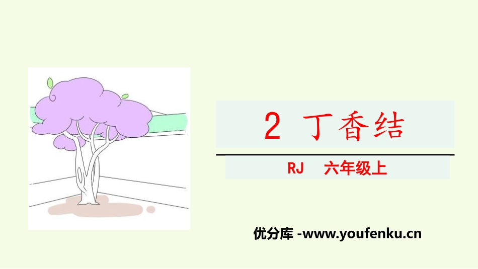 《丁香结》PPT课件[部编版六年级语文上册]_第1页