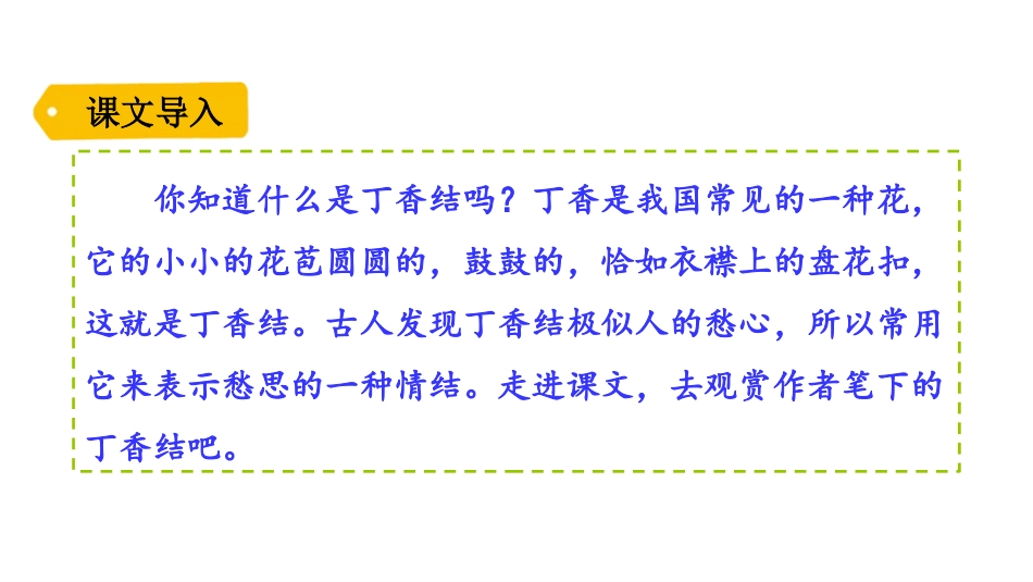 《丁香结》PPT课件[部编版六年级语文上册]_第2页