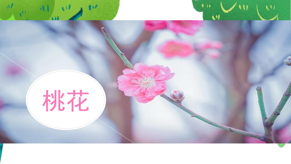 《花之歌》PPT精品课件[部编版六年级语文上册]_第2页