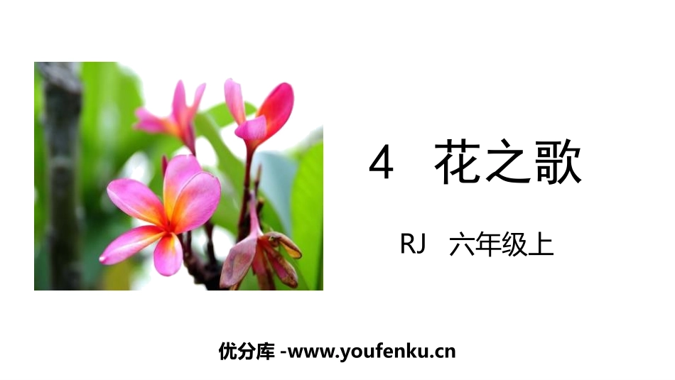 《花之歌》PPT优秀课件[部编版六年级语文上册]_第1页