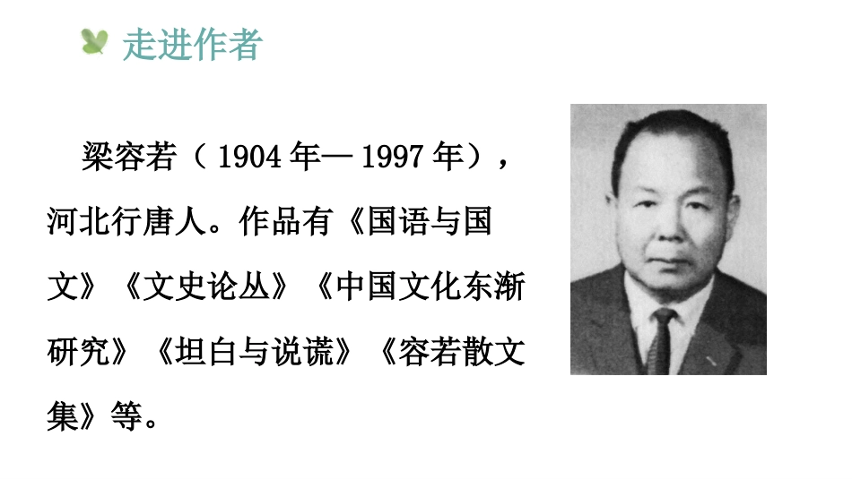《夏天里的成长》PPT免费课件[部编版六年级语文上册]_第3页