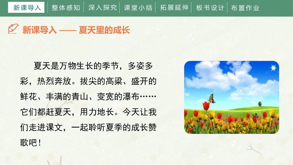 《夏天里的成长》PPT课件[部编版六年级语文上册]_第3页