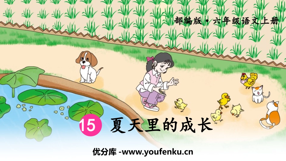 《夏天里的成长》PPT优秀课件[部编版六年级语文上册]_第1页