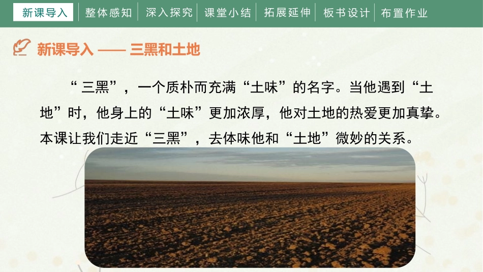 《三黑和土地》PPT优秀课件[部编版六年级语文上册]_第3页