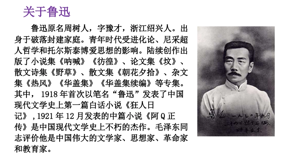 《少年闰土》PPT优质课件[部编版六年级语文上册]_第2页