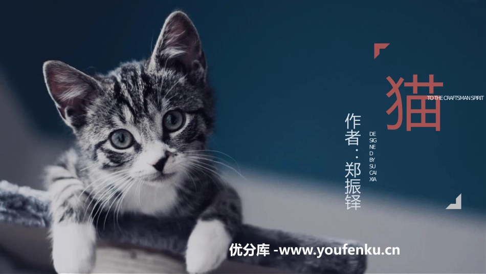 《猫》PPT优秀课件[部编版七年级语文上册]_第1页