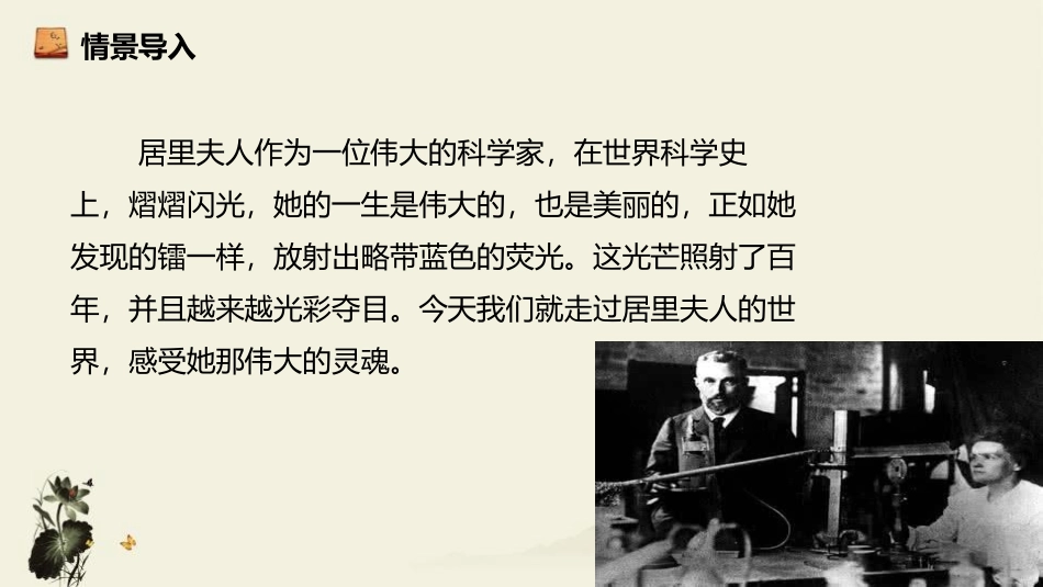 《美丽的颜色》PPT课件[部编版八年级语文上册]_第2页
