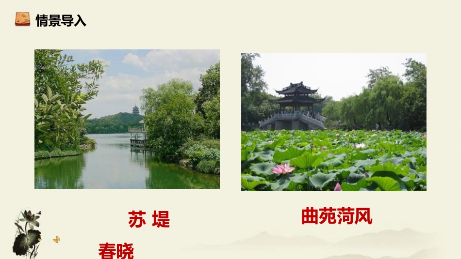 《钱塘湖春行》唐诗五首PPT课件[部编版八年级语文上册]_第3页