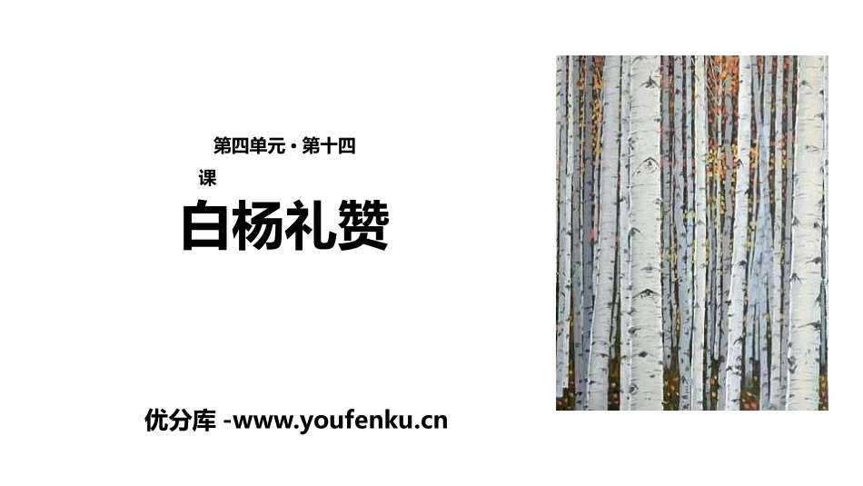 《白杨礼赞》PPT优秀PPT课件[部编版八年级语文上册]_第1页