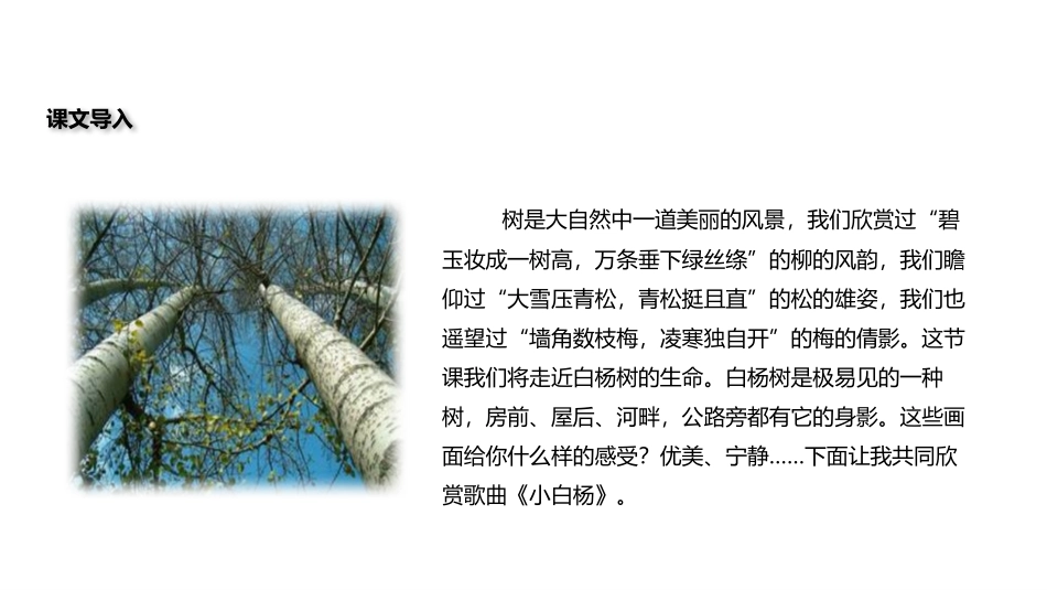 《白杨礼赞》PPT优秀PPT课件[部编版八年级语文上册]_第3页