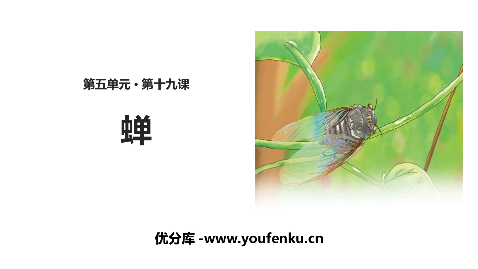 《蝉》PPT课件[部编版八年级语文上册]_第1页