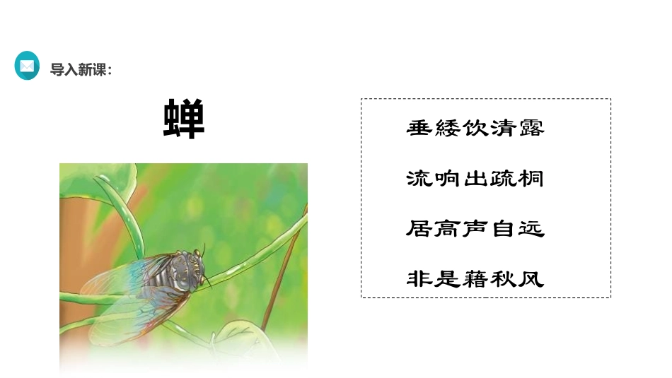 《蝉》PPT课件[部编版八年级语文上册]_第2页