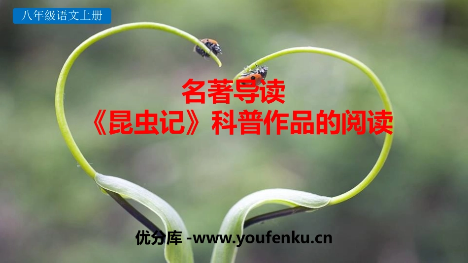 《昆虫记》PPT课件[部编版八年级语文上册]_第1页