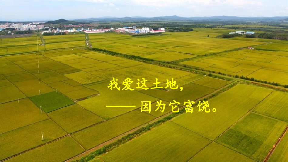 《我爱这土地》PPT优秀课件[部编版九年级语文上册]_第3页