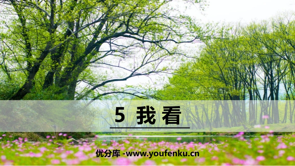 《我看》PPT课件[部编版九年级语文上册]_第1页