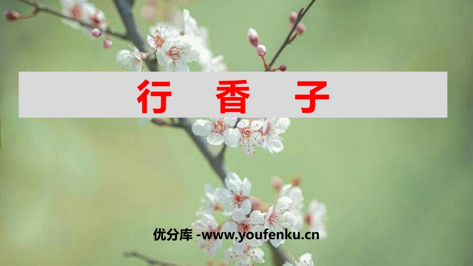 《行香子》课外古诗词诵读PPT课件[部编版九年级语文上册]_第1页