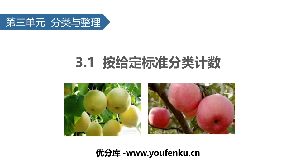 《分类与整理》PPT(按给定标准分类计数)PPT课件_第1页