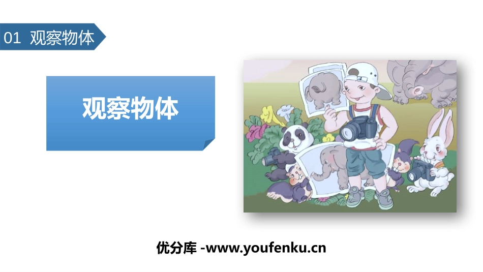 《观察物体》PPT教学课件[人教版二年级数学上册]_第1页