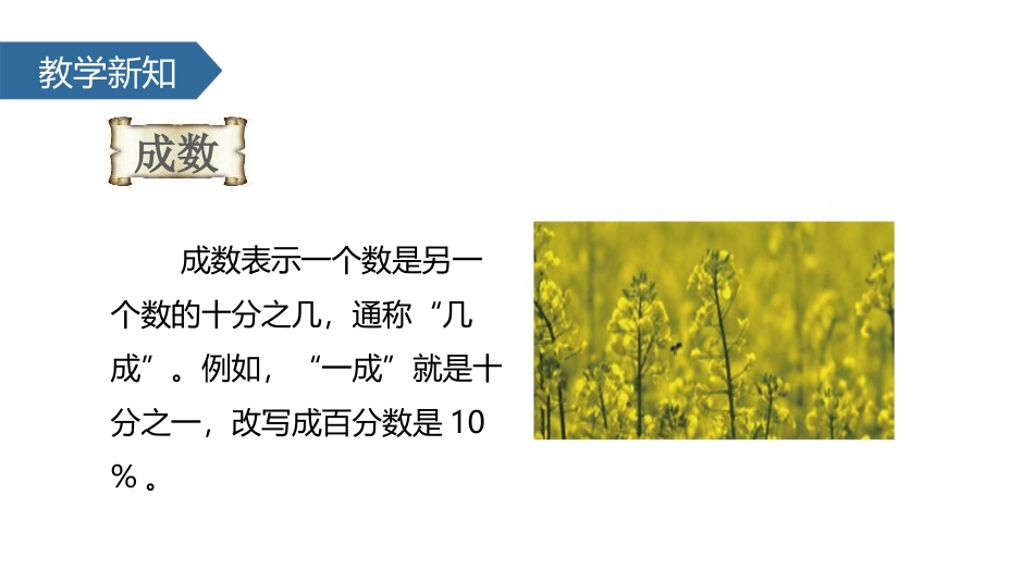 《成数》百分数PPT课件[人教版六年级数学下册]_第3页