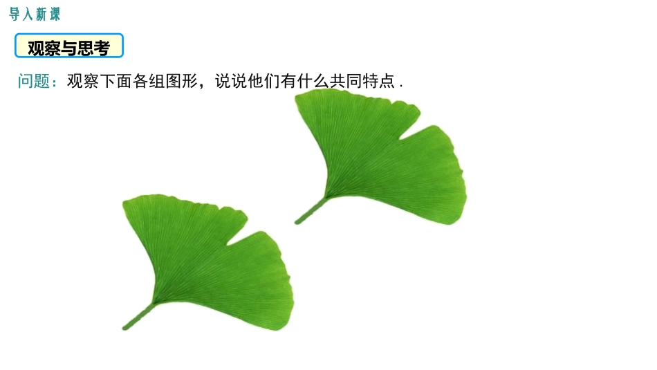 《全等三角形》PPT免费课件[人教版八年级数学上册]_第3页