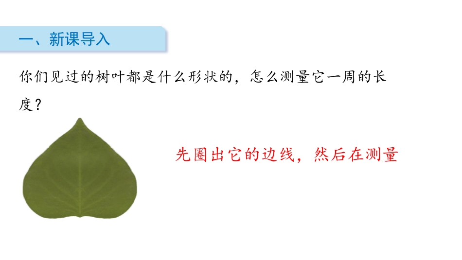 《什么是周长》周长PPT课件[北师大版三年级数学上册]_第2页