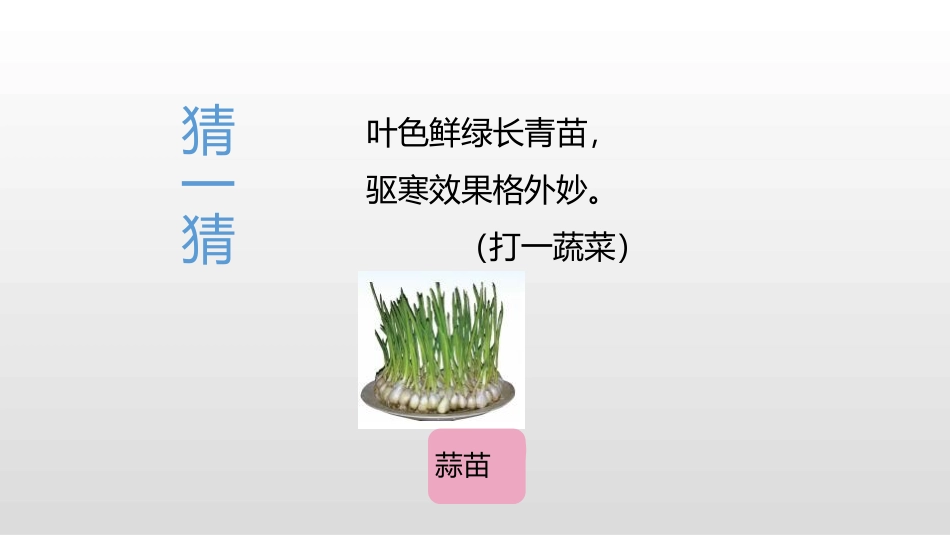 《栽蒜苗(一)》数据的表示和分析PPT(第1课时)PPT课件_第3页