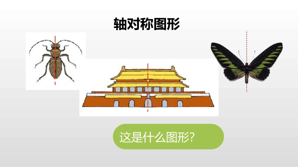 《圆的认识(二)》圆PPT课件[北师大版六年级数学上册]_第3页