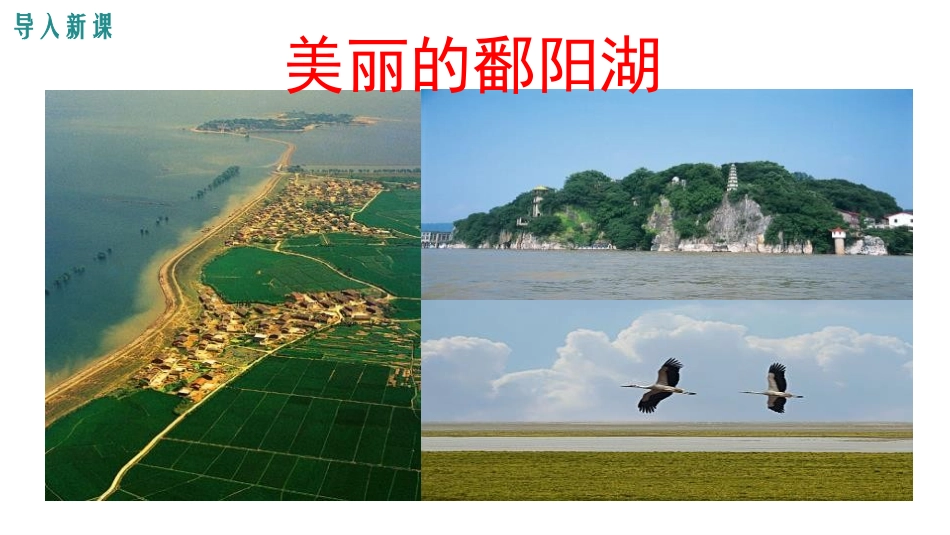 《数据的收集》数据的收集与整理PPT课件[北师大版七年级数学]_第3页