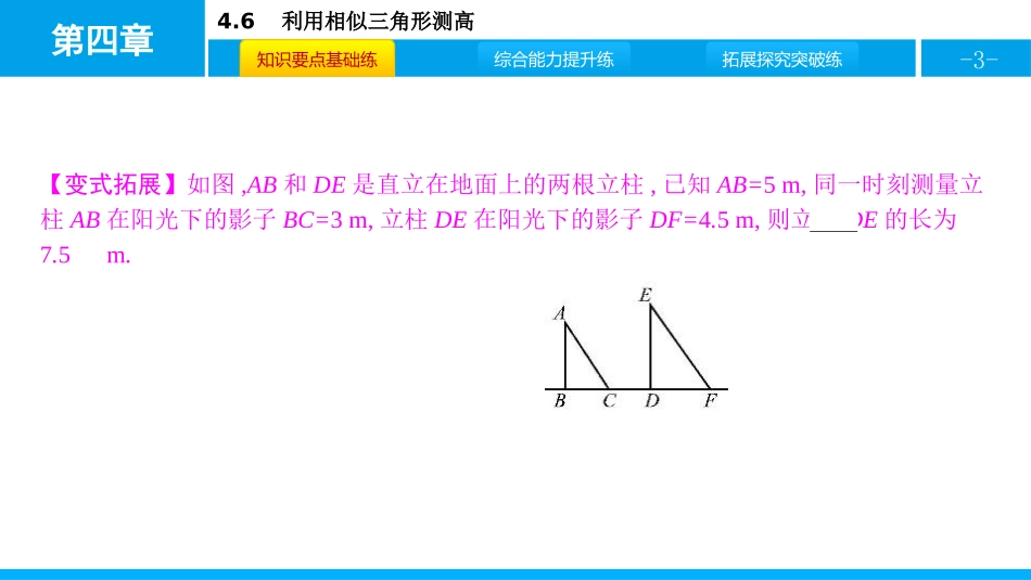 《利用相似三角形测高》图形的相似PPT课件[北师大版九年级数学]_第3页
