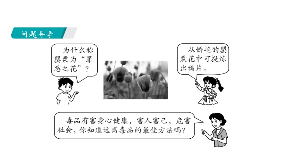 《远离有毒物质》化学与健康PPT教学课件[鲁教版九年级化学]_第2页