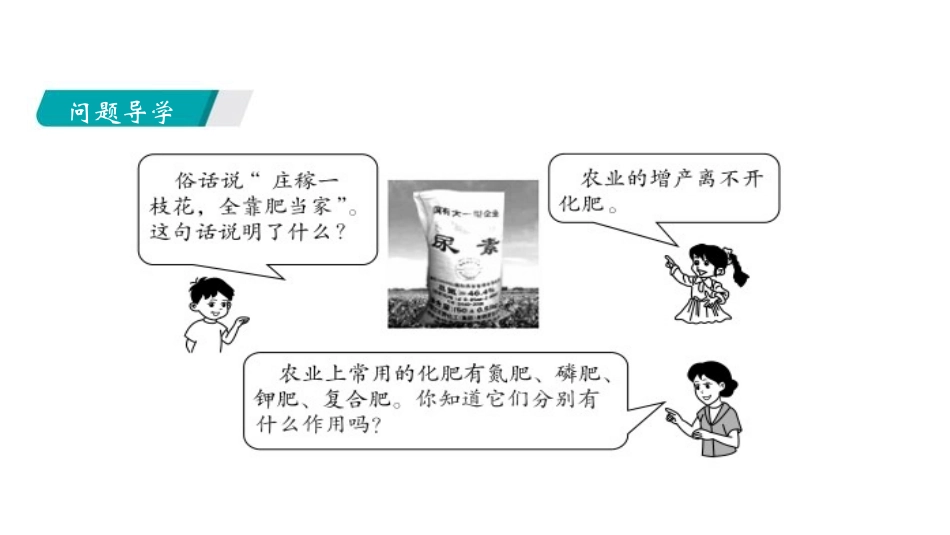 《化学与农业生产》化学与社会发展PPT课件[鲁教版九年级化学]_第2页