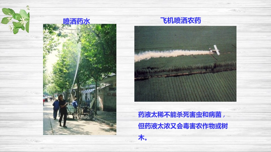 《溶液组成的定量表示》溶液PPT课件[鲁教版九年级化学下册]_第3页