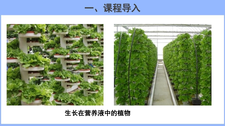 《溶液的形成》溶液PPT课件[人教版九年级化学下册]_第2页