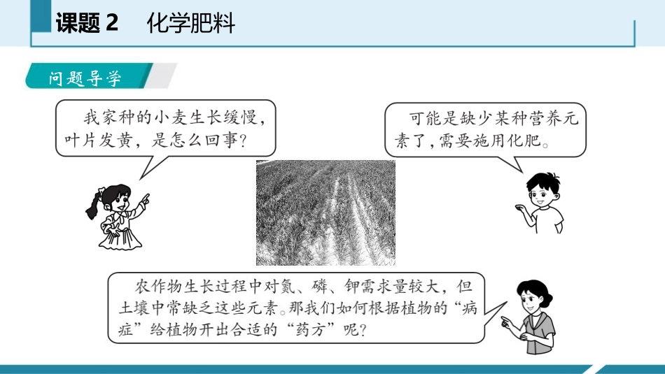 《化学肥料》盐化肥PPT教学课件[人教版九年级化学下册]_第2页