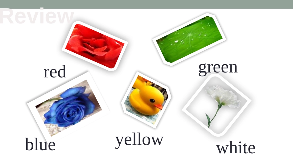 《I like green》Colours PPT课件_第2页