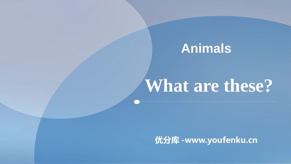 《What are these?》Animals PPT课件_第1页