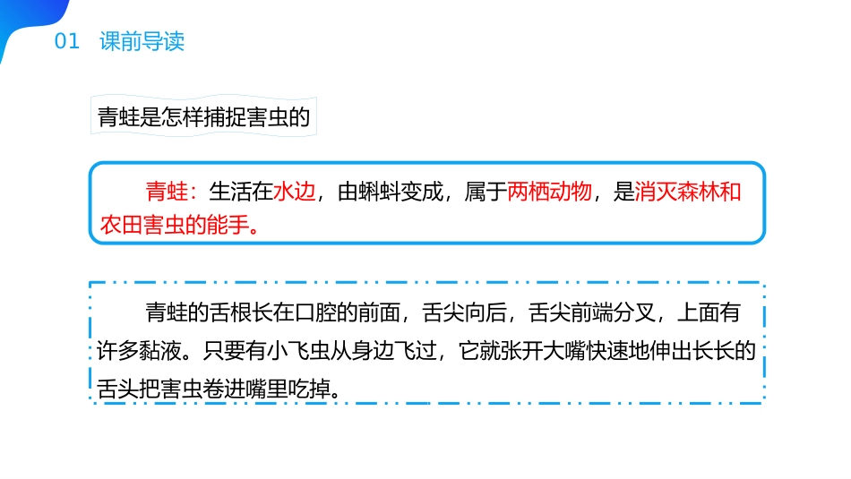 识字《小青蛙》PPT免费课件[部编版一年级语文下册]_第3页