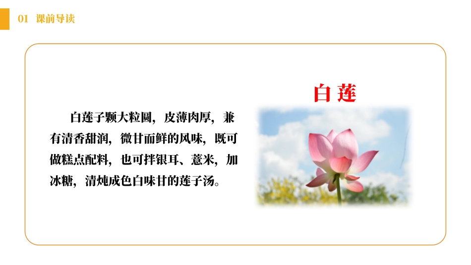 《古诗两首》PPT课件[部编版一年级语文下册]_第3页