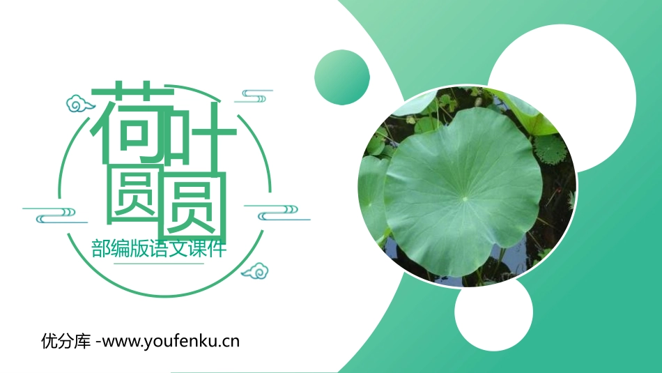 《荷叶圆圆》PPT课件[部编版一年级语文下册]_第1页