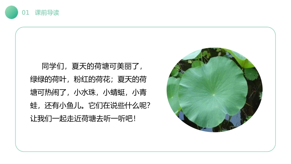 《荷叶圆圆》PPT课件[部编版一年级语文下册]_第2页