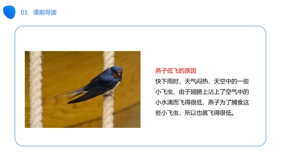 《要下雨了》PPT课件[部编版一年级语文下册]_第3页