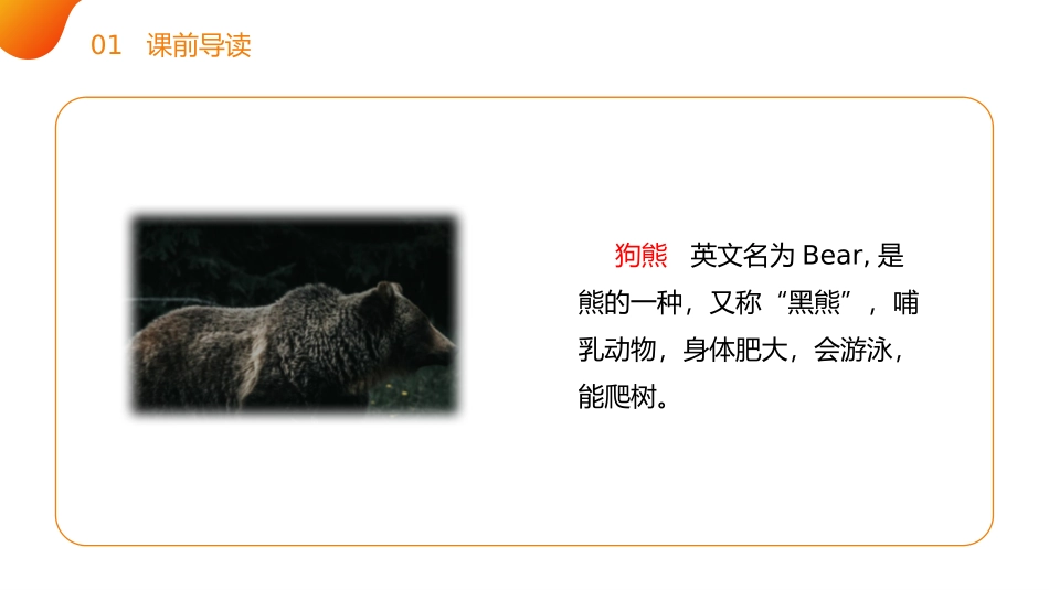 《动物王国开大会》PPT课件[部编版一年级语文下册]_第3页