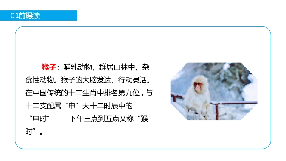 《小猴子下山》PPT课件[部编版一年级语文下册]_第3页