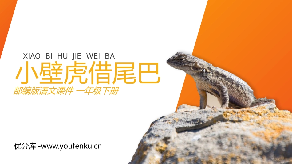 《小壁虎借尾巴》PPT课件[部编版一年级语文下册]_第1页