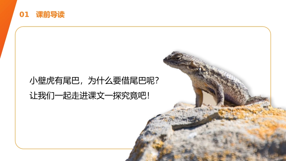 《小壁虎借尾巴》PPT课件[部编版一年级语文下册]_第2页