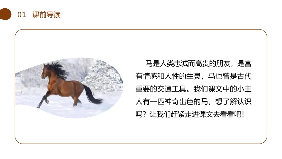 《一匹出色的马》PPT课件[部编版二年级语文下册]_第2页