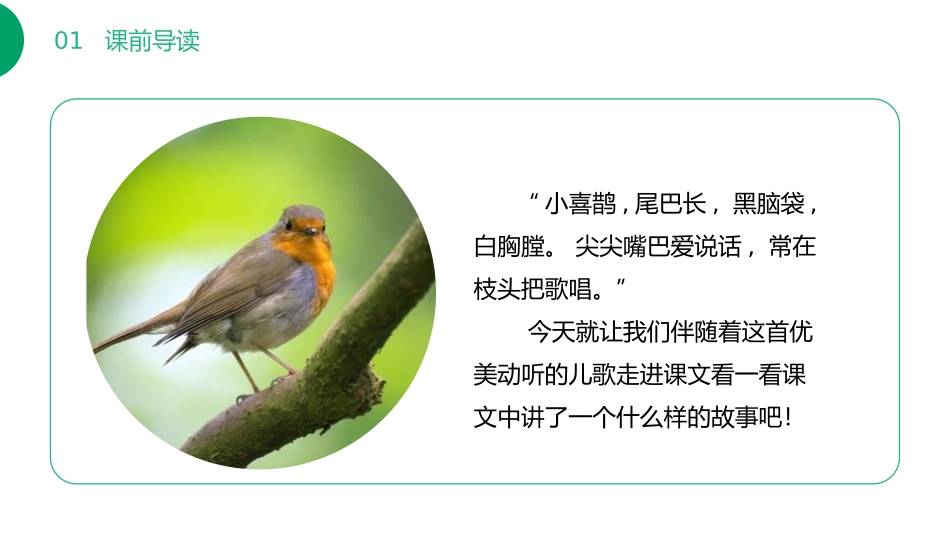 《枫树上的喜鹊》PPT课件[部编版二年级语文下册]_第2页